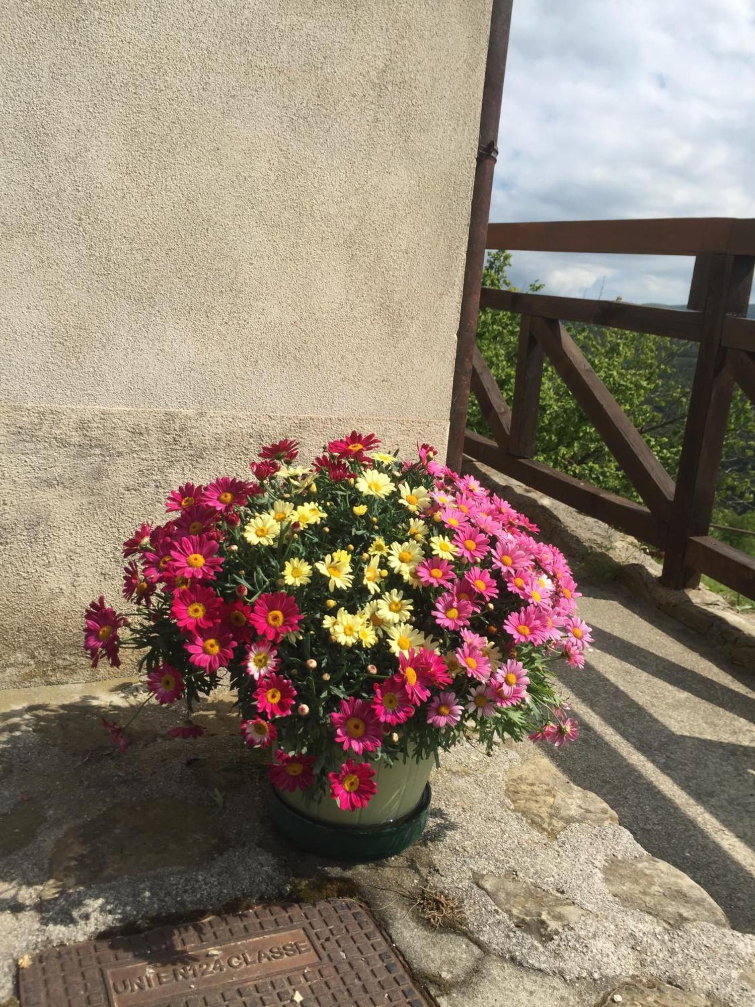 밀레시모 Residenza Cima Le Vigne B&B 객실 사진